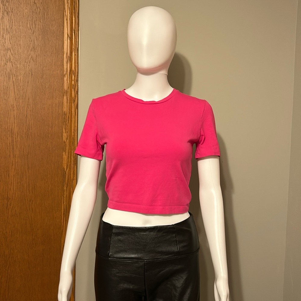 Zara Basic Short Sleeved Crop Tee